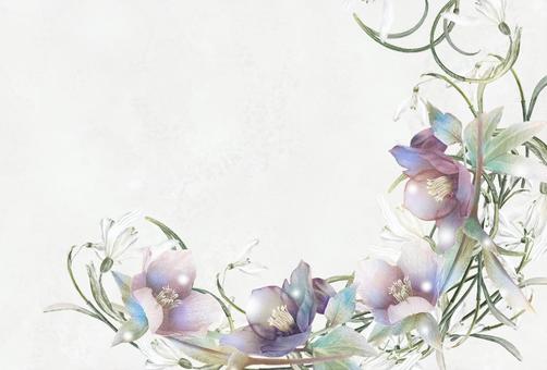 スノードロップとクリスマスローズの花枠2 冬,花,12月,1月,クリスマスローズ,スノードロップ,植物,雪,イラスト,手描きのイラスト素材