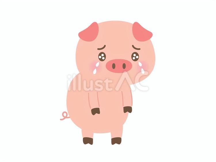 落ち込んで涙を流す豚さんのイラスト 豚,動物,泣くのイラスト素材