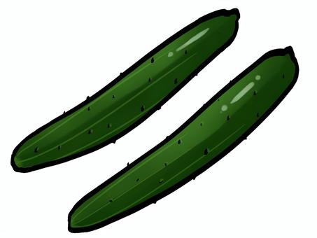 きゅうりのイラスト （筆タッチ・野菜） きゅうり,キュウリ,野菜,筆,春,夏,収穫,農業,農家,農作物のイラスト素材