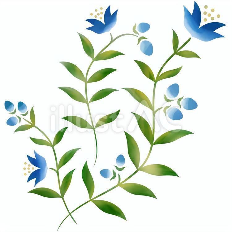 植物（水彩塗り）青い花 花,青い花,花柄のイラスト素材