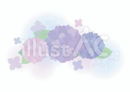 梅雨 あじさいとあじさいの花びらの挿絵