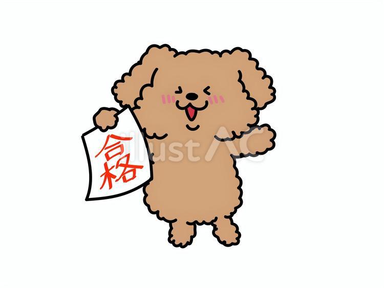 合格おめでとう！犬さん いぬ,合格,勉強のイラスト素材