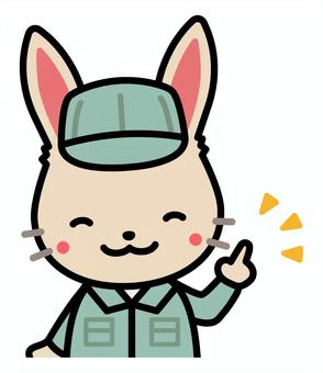 Illustration, rabbit, operator, a proposal, 