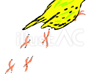 チョコチョコ歩くインコ