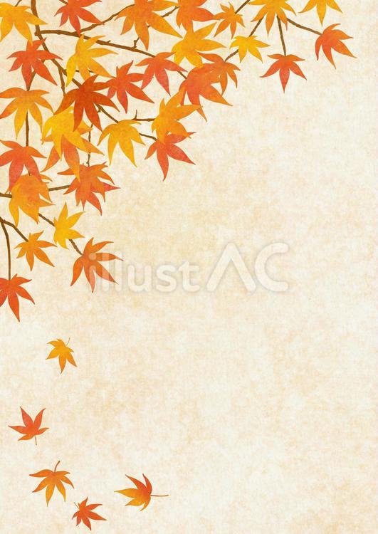 紅葉のフレーム　縦 秋,葉っぱ,もみじのイラスト素材