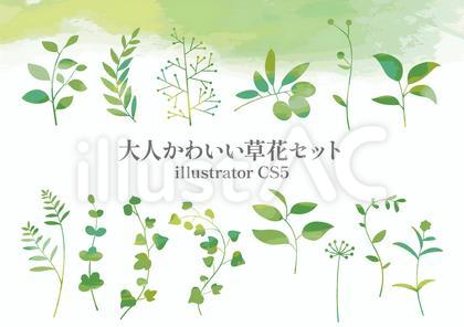 大人かわいい草花のセット グリーン