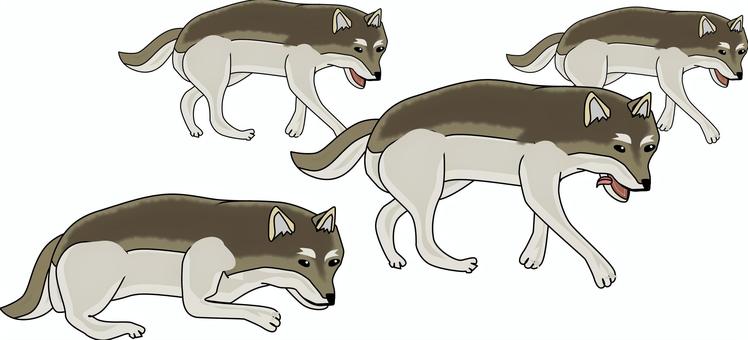 Wolf pack, JPG, PNG and AI Wolf pack, wolf, hokkaido wolf, canis, JPG, PNG and AI
