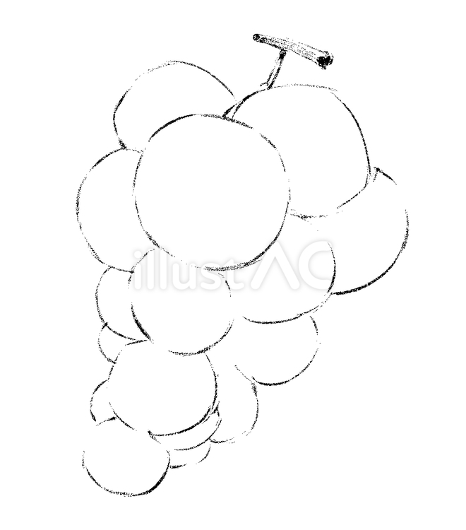 ぶどう（塗り絵） 手書き風,くだもの,ぶどうのイラスト素材