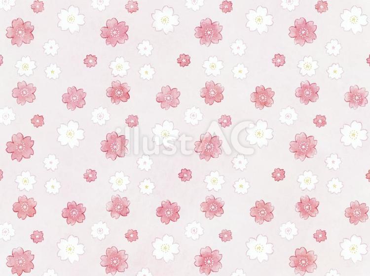 落ち着いた色の桜柄 桜,模様,和柄のイラスト素材