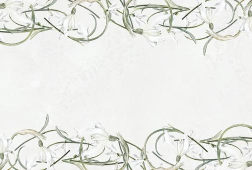 スノードロップの花枠 花,冬,スノードロップ,フレーム,12月,１月,植物,手描き,水彩,招待状のイラスト素材