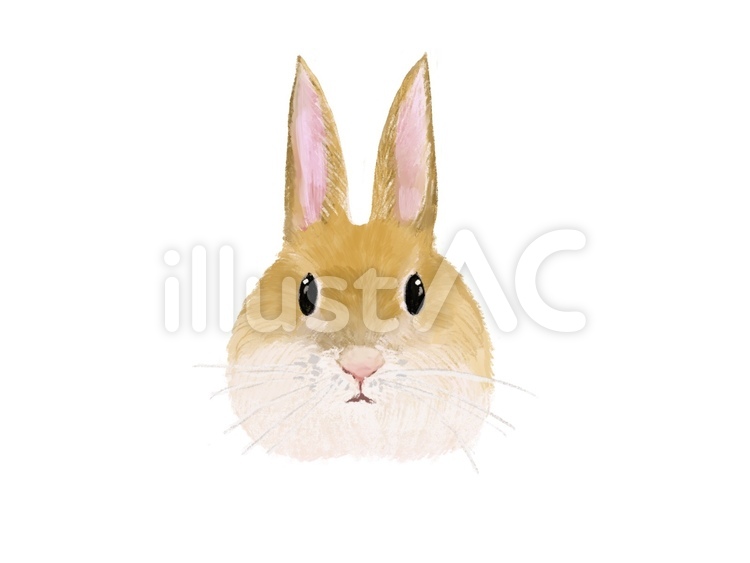 手描き風　うさぎ うさぎ,兎,動物のイラスト素材