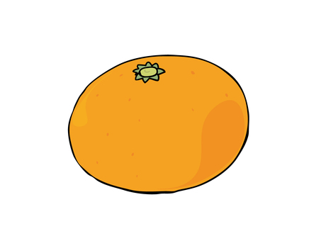 みかん みかん,果物,食べ物,柑橘,主線あり,イラスト素材,広告,チラシ,cm,白背景のイラスト素材