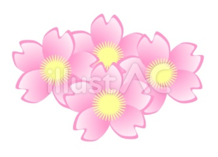 桜 さくら,春,花のイラスト素材