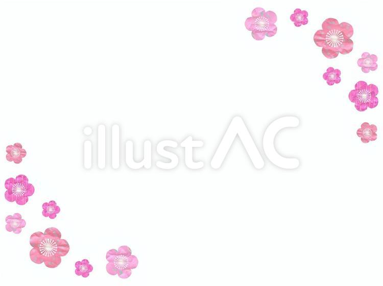 ピンクの梅の花お正月フレーム　年賀状 梅の花,フレーム,年賀状のイラスト素材