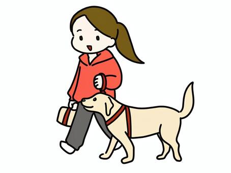 犬の散歩をする人 犬,散歩,リード,習慣,日課,しつけ,マナー,ハーネス,飼い主,ペットのイラスト素材