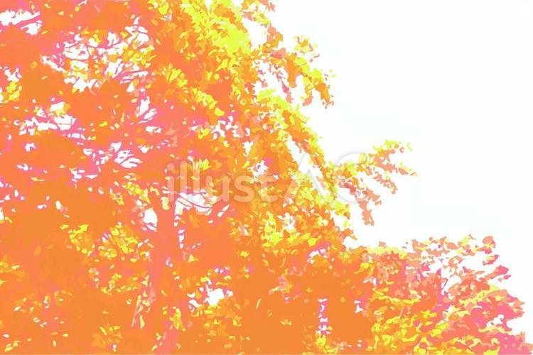 紅葉　樹木 紅葉,樹木,空のイラスト素材
