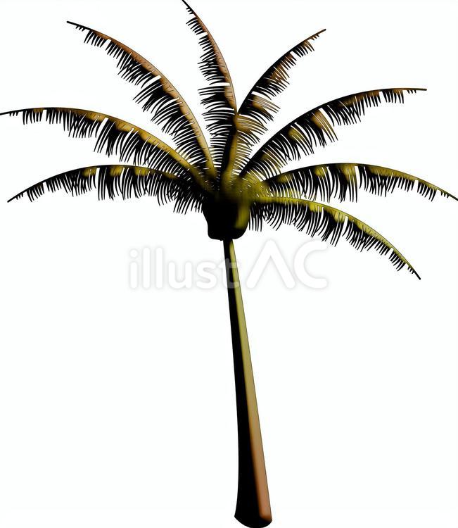 ヤシの木　　 ヤシの木,南国風,植栽のイラスト素材