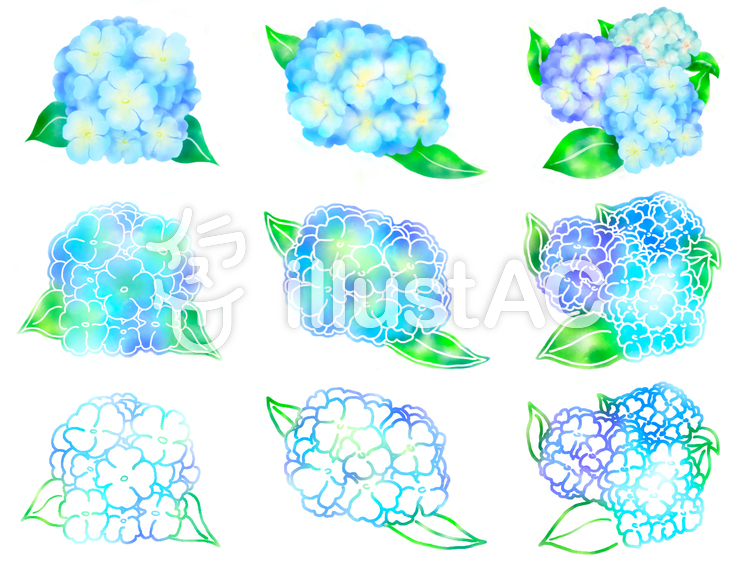 水彩画風のあじさい 6月,梅雨,紫陽花のイラスト素材