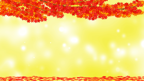 秋晴れのもみじ狩りイメージFHDサイズ2 もみじ,楓,紅葉狩り,落ち葉,枯れ葉,葉,葉っぱ,枝,たくさん,一面のイラスト素材
