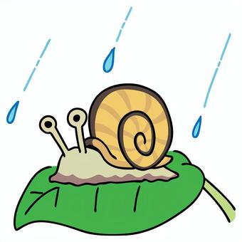 Illustration, snails, maimai, rain, 