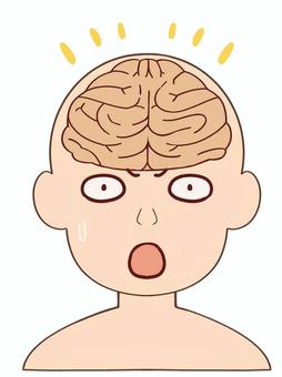 人体模型・ひらめく・のうみそ 脳みそ,手描き,大脳,正面,人体模型,閃く,アイデア,人物,人,驚くのイラスト素材