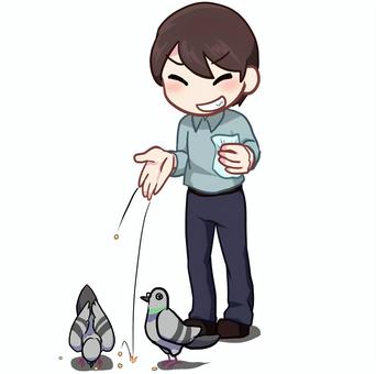 鳩のエサやり＿男性 人物,生活,全身,男性,動物,鳩,エサ,与える,素材のイラスト素材