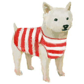 水着 犬 いぬ,ペット,動物,生き物,ボーダー,水着,洋服,tシャツ,ファッション,夏のイラスト素材