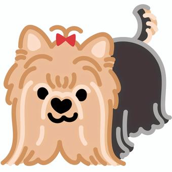 ハート鼻のヨークシャーテリア（ふせ）1 ヨークシャーテリア,犬,動物,ハート,鼻,ふせ,シンプル,かわいい,キュート,デフォルメのイラスト素材