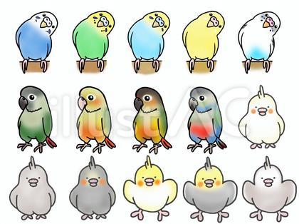 インコイラストセット