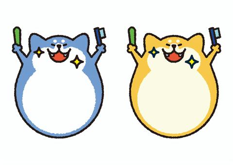 歯みがき柴犬ぱすてる（コピースペース） 犬,柴犬,日本犬,赤柴,黒柴,歯みがき,歯ブラシ,おやつ,ガム,コピースペースのイラスト素材