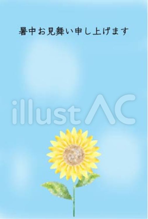 ひまわりのカード ひまわり,カード,夏のイラスト素材