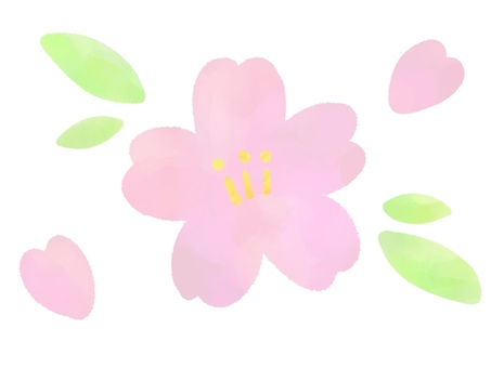 水彩風の桜の花と葉っぱのイラスト 桜,花,葉,花びら,春,季節,植物,水彩,手描き,やさしいのイラスト素材