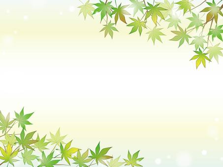 爽やかな青もみじの背景2 新緑,青もみじ,もみじ,楓,初夏,夏,5月,6月,7月,葉っぱのイラスト素材