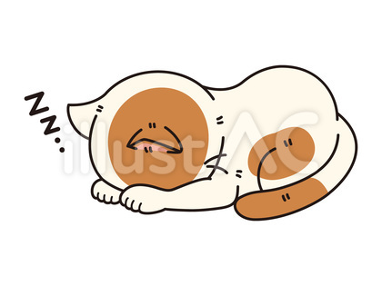 ゴメン寝をしている可愛いぶち猫