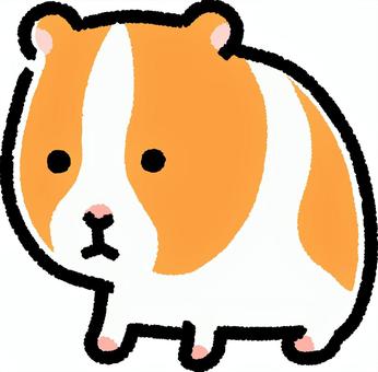 モルモット モルモット,動物,ペット,齧歯類,生き物,小動物,テンジクネズミ,デフォルメ,シンプルのイラスト素材