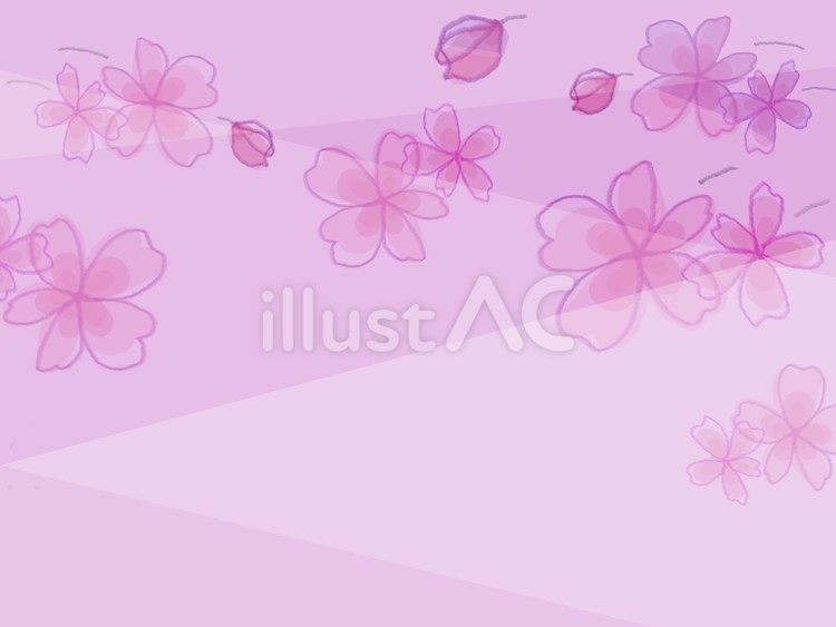 ふんわりと淡いきれいな大人可愛い桜の背景 ふんわり,桜,花のイラスト素材