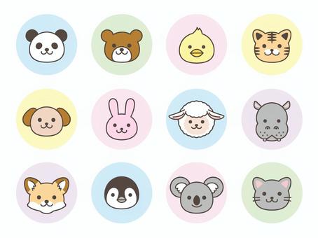 Illustration, animal, panda, bear, 
