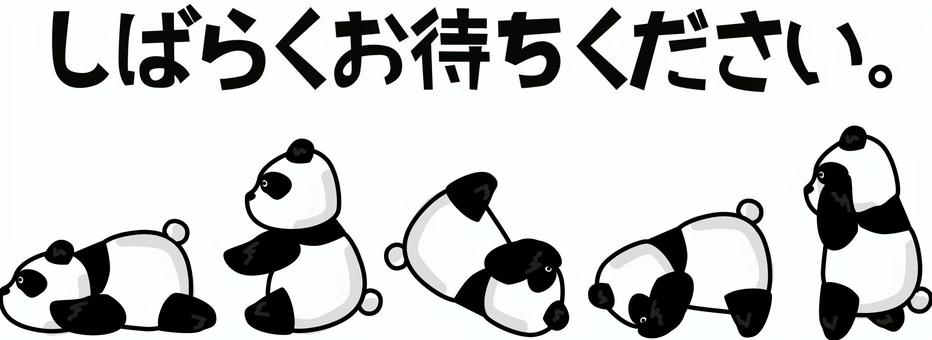 パンダお待ちください　 パンダ,お待ちください,でんぐり返し,かわいい,前転,お知らせ,表示,キャラのイラスト素材