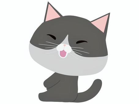 座っている笑顔のはちわれ猫 座っている笑顔のはちわれ猫 座る,猫,はちわれ,笑顔,動物,かわいい,リラックスのイラスト素材