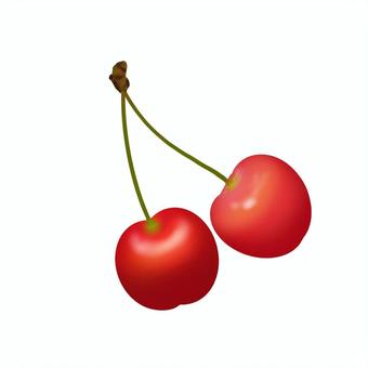 リアルなさくらんぼ　手描き さくらんぼ,きれい,リアル,赤,艶,美味しそう,手描きのイラスト素材