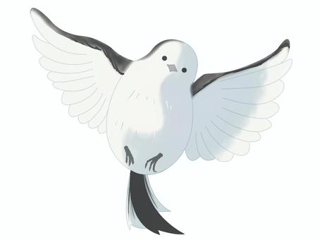 シマエナガ（羽ばたく） シマエナガ,鳥,動物,北海道,白,羽ばたく,主線なしのイラスト素材