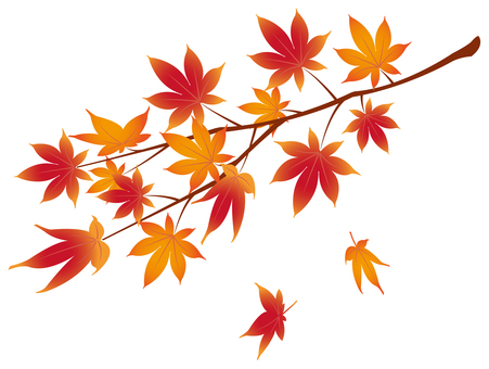 紅葉の枝01_25 秋,紅葉,アイコン,イラスト,9月,10月,11月,もみじ,かわいい,シンプルのイラスト素材