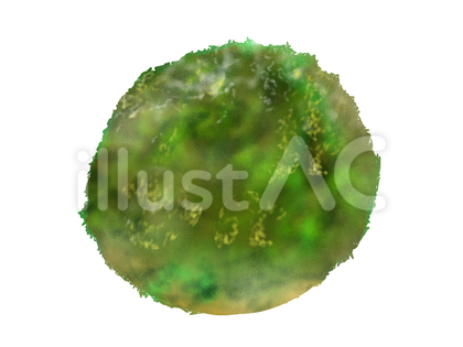苔玉