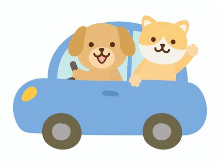 くるま_犬2匹_普通車_青 車,動物,犬,運転,乗用車,普通車,軽自動車,自動車,乗り物,かわいいのイラスト素材