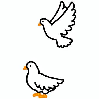 Illustration, high, low, dove, 