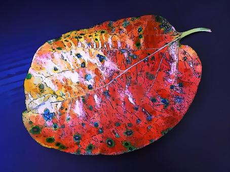 柿の葉の紅葉  柿の葉,葉っぱ,紅葉,秋,秋色,赤色,斑点,植物,壁紙,背景のイラスト素材