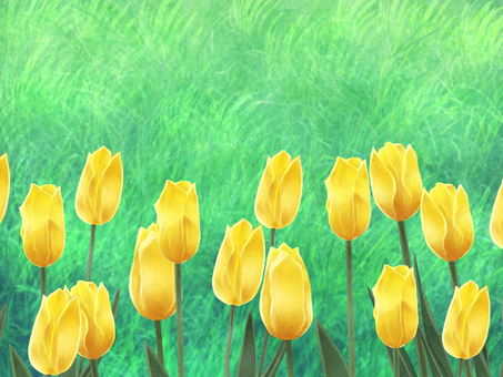 Illustration, grass, tulip, flower, 
