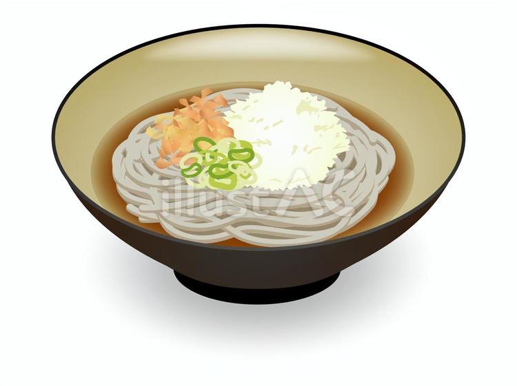 越前おろしそば おろしそば,福井県,麺類のイラスト素材