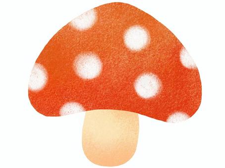 水玉模様の赤いきのこ 水玉模様の赤いきのこ きのこ,毒きのこ,茸,秋,きのこ狩り,秋の味覚,山,収穫,自然,食べ物のイラスト素材