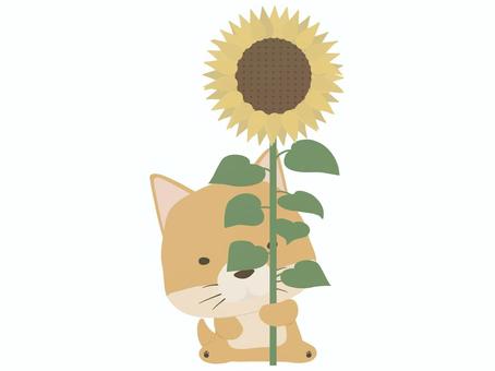 sunflower _ dog, , JPG and PNG